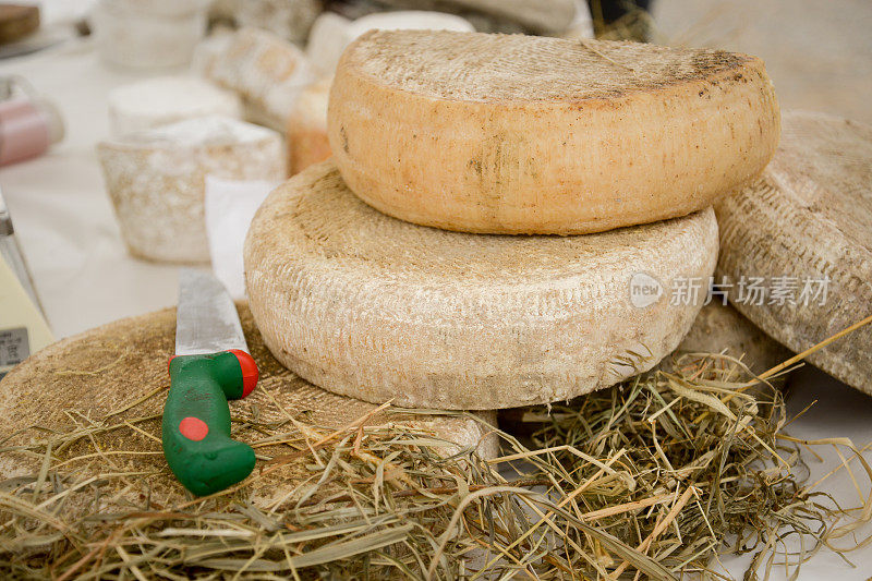 La Toma:来自皮埃蒙特的原味奶酪